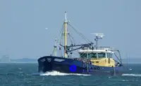 အလင်းတန်းငါးဖမ်းရေယာဉ် ရောင်းရန်